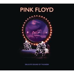Pink Floyd - Delicate Sound Of Thunder  2CD  CD